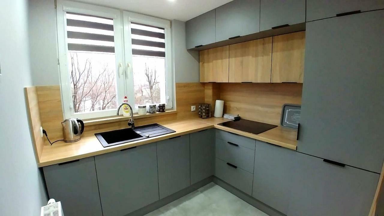 Apartament Gray Bielsko-Biała Zewnętrze zdjęcie