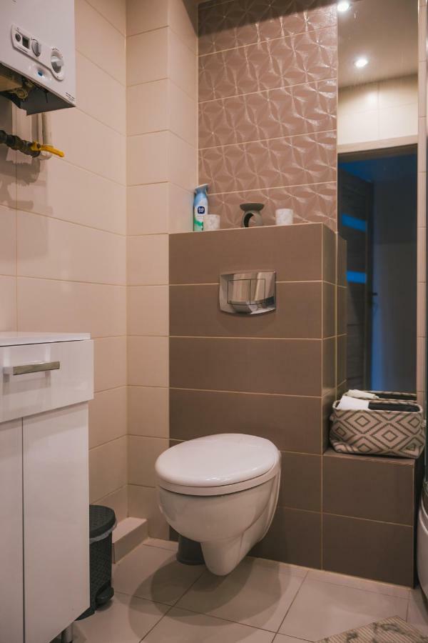 Apartament Gray Bielsko-Biała Zewnętrze zdjęcie