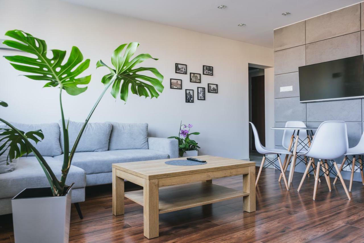 Apartament Gray Bielsko-Biała Zewnętrze zdjęcie