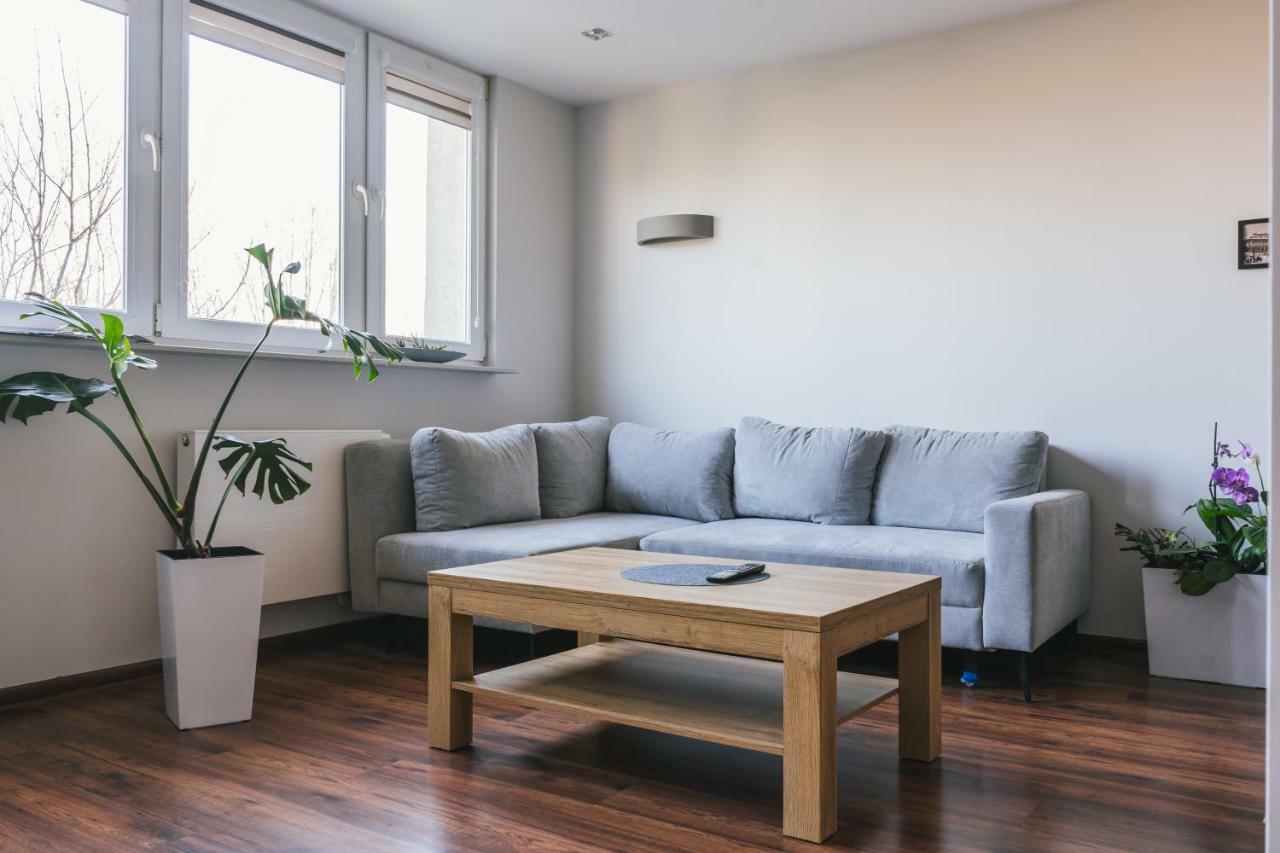 Apartament Gray Bielsko-Biała Zewnętrze zdjęcie